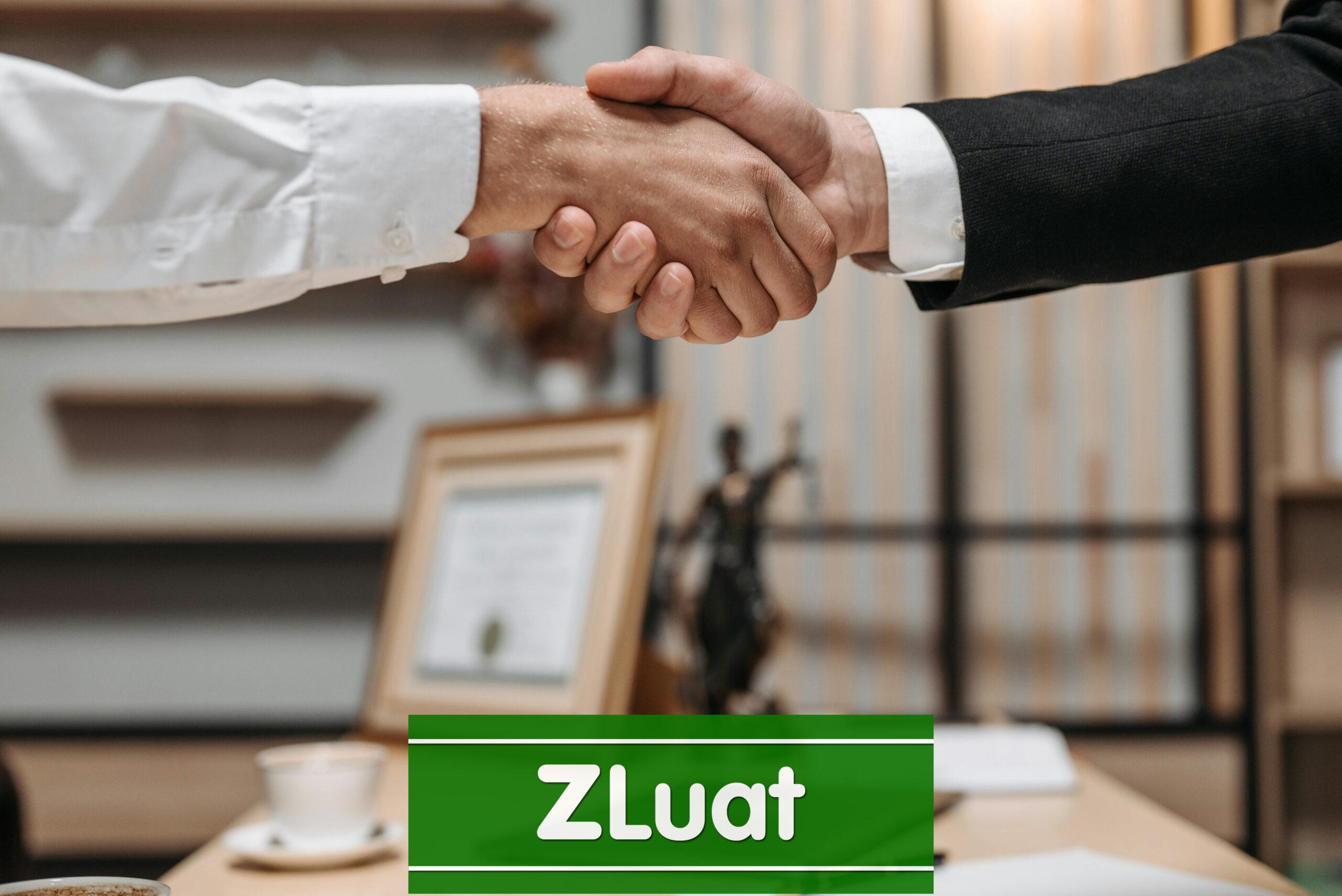 [Luật sư Long] – Trọn gói dịch vụ Ly hôn Đơn phương tranh chấp tài sản chung ở địa điểm phường Đông Hưng Thuận, Thành phố Hồ Chí Minh - Ảnh 1