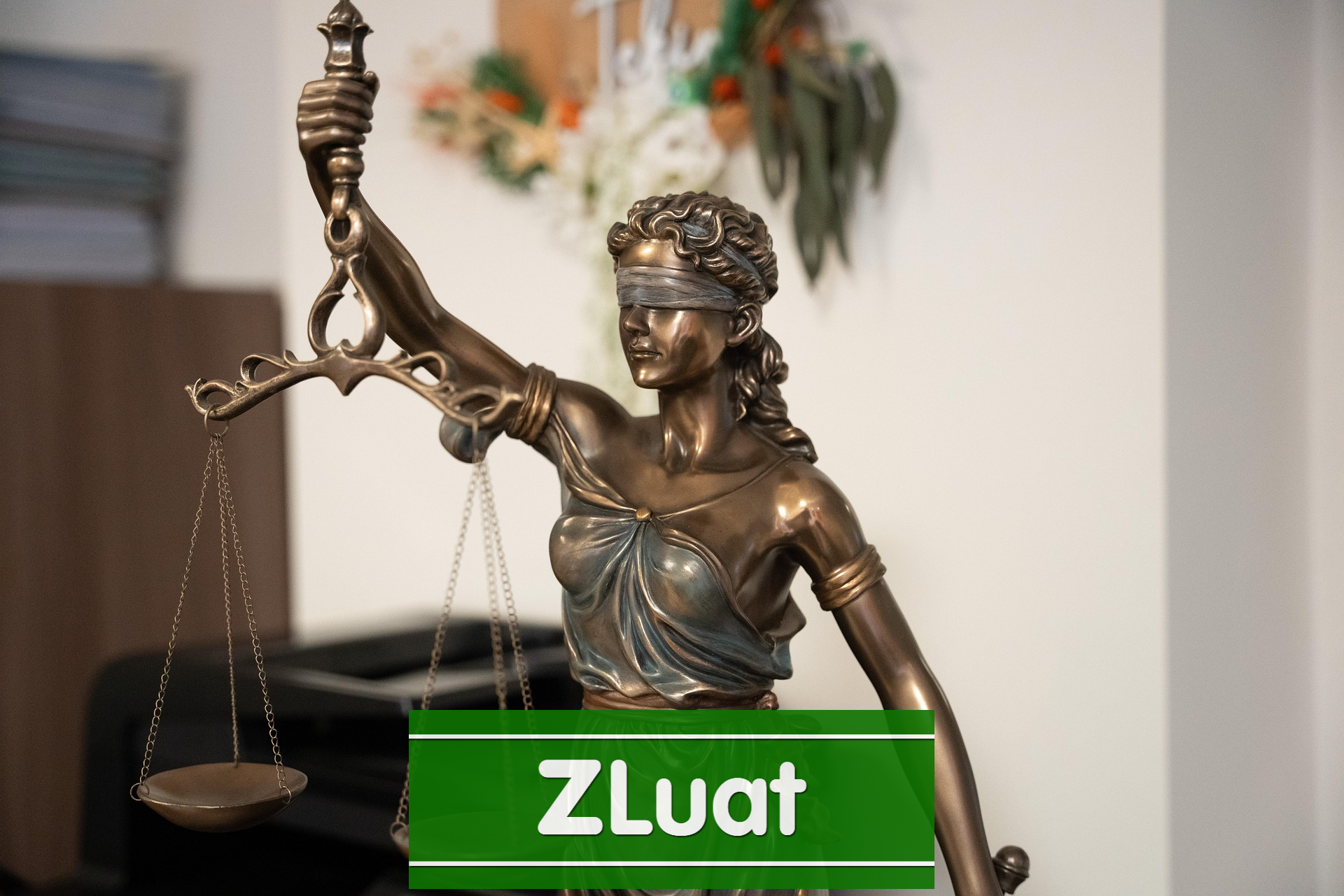 [Luật sư Long] – Luật sư Ly hôn vắng mặt người nước ngoài ở Toà phụ trách phường Tân Sơn Nhì, Thành phố Hồ Chí Minh - Ảnh 2